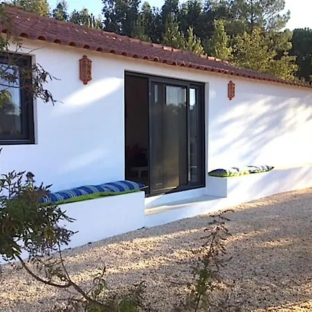 Beautiful House With Pond Immersed In Nature * Alcaria Fria