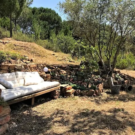 בית נופש Beautiful House With Pond Immersed In Nature Alcaria Fria