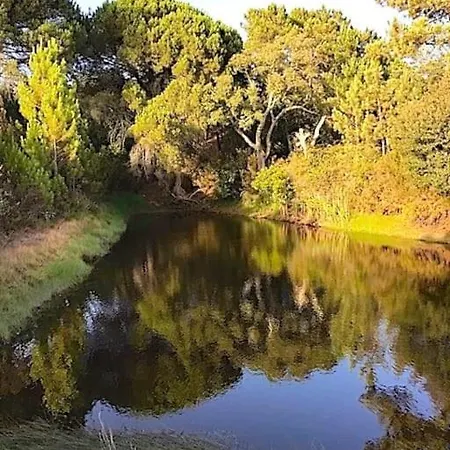 Beautiful House With Pond Immersed In Nature Alcaria Fria