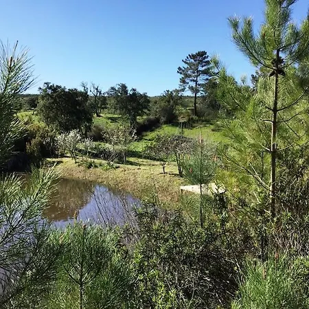 Hébergement de vacances Beautiful House With Pond Immersed In Nature